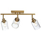 Melucee Adrian Flush Mount Ceiling Light Rotatable Track Lighting Kit