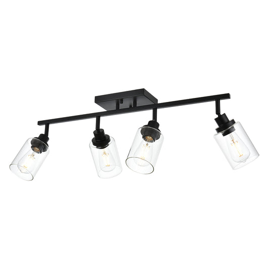 Bathroom Vanity Light 4 Light Track Lighting Fixtures Black, Ceiling Lighting Fixtures with Rotatable Track Head for Hallway Porch Foyer Bath Storage, Clear Glass Shade