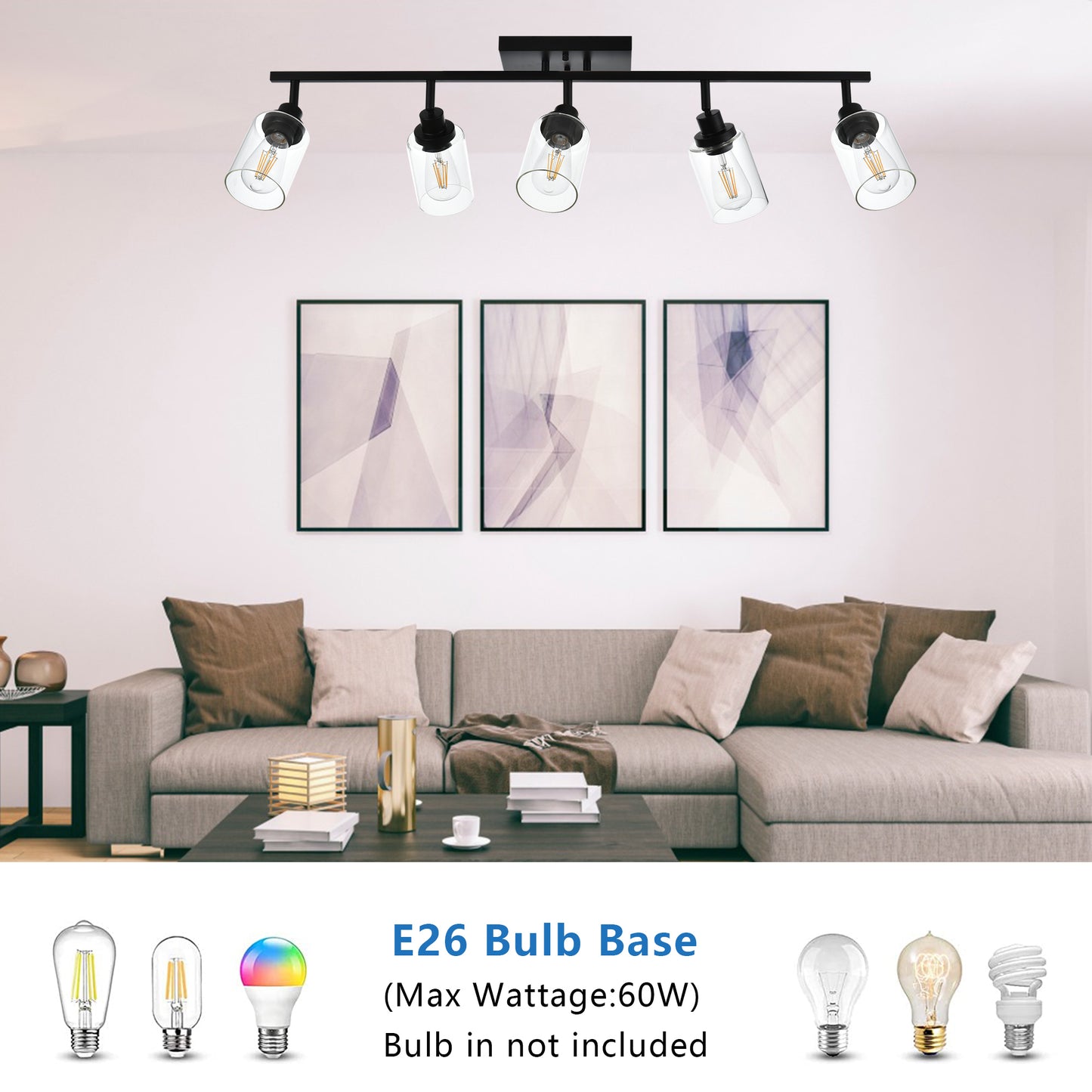 Melucee Adrian Flush Mount Ceiling Light Rotatable Track Lighting Kit