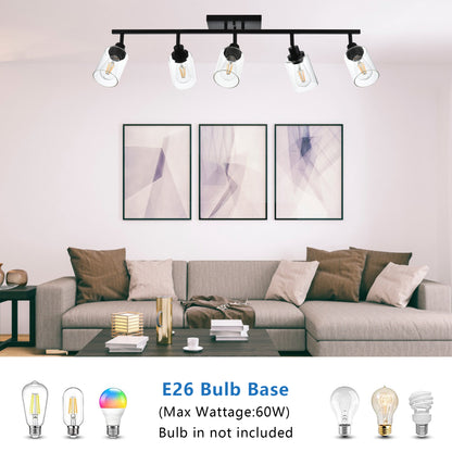 Melucee Adrian Flush Mount Ceiling Light Rotatable Track Lighting Kit