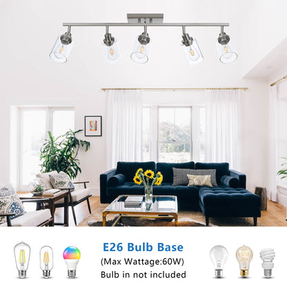 Melucee Adrian Flush Mount Ceiling Light Rotatable Track Lighting Kit