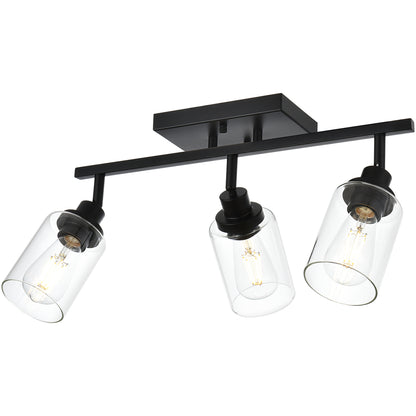 Melucee Adrian Flush Mount Ceiling Light Rotatable Track Lighting Kit
