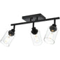 Melucee Adrian Flush Mount Ceiling Light Rotatable Track Lighting Kit