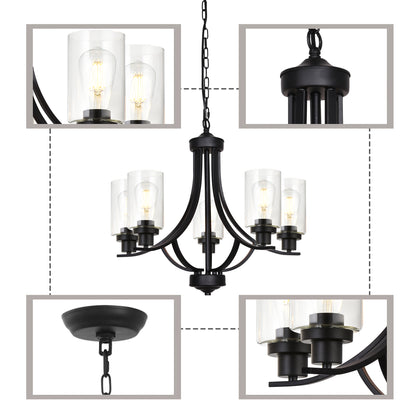 Melucee Marcus Classic Chandelier with Clear Glass Shade